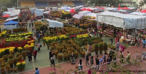 flower market hong kong