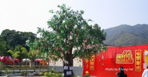 lam tsuen wishing tree
