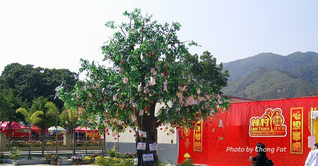 lam tsuen wishing tree photo