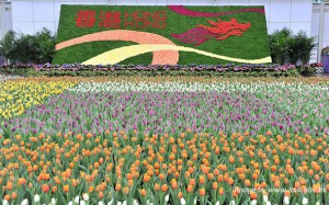 hong kong flower show